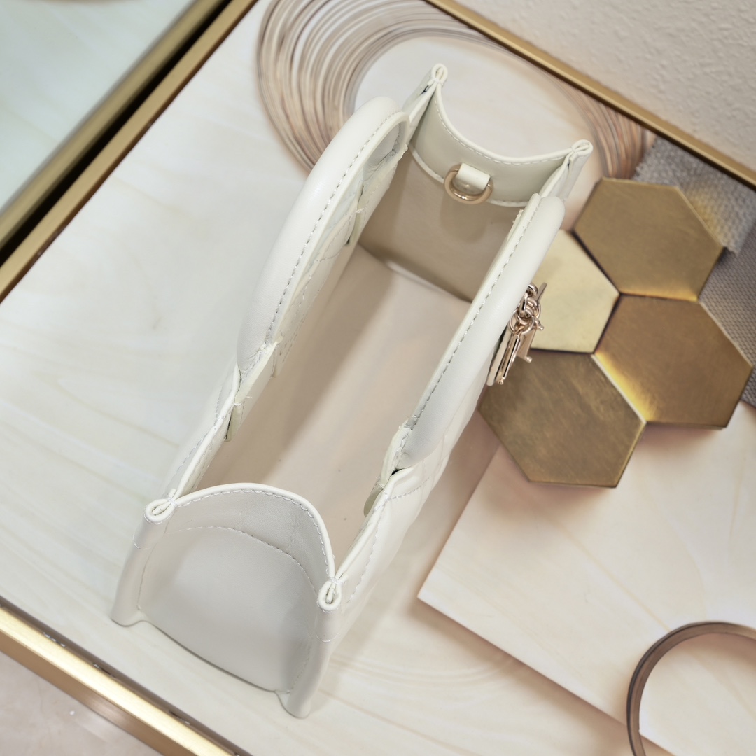 Dior Mini Book Tote Maria Grazia Chiuri design Shoulder Bag Handbag