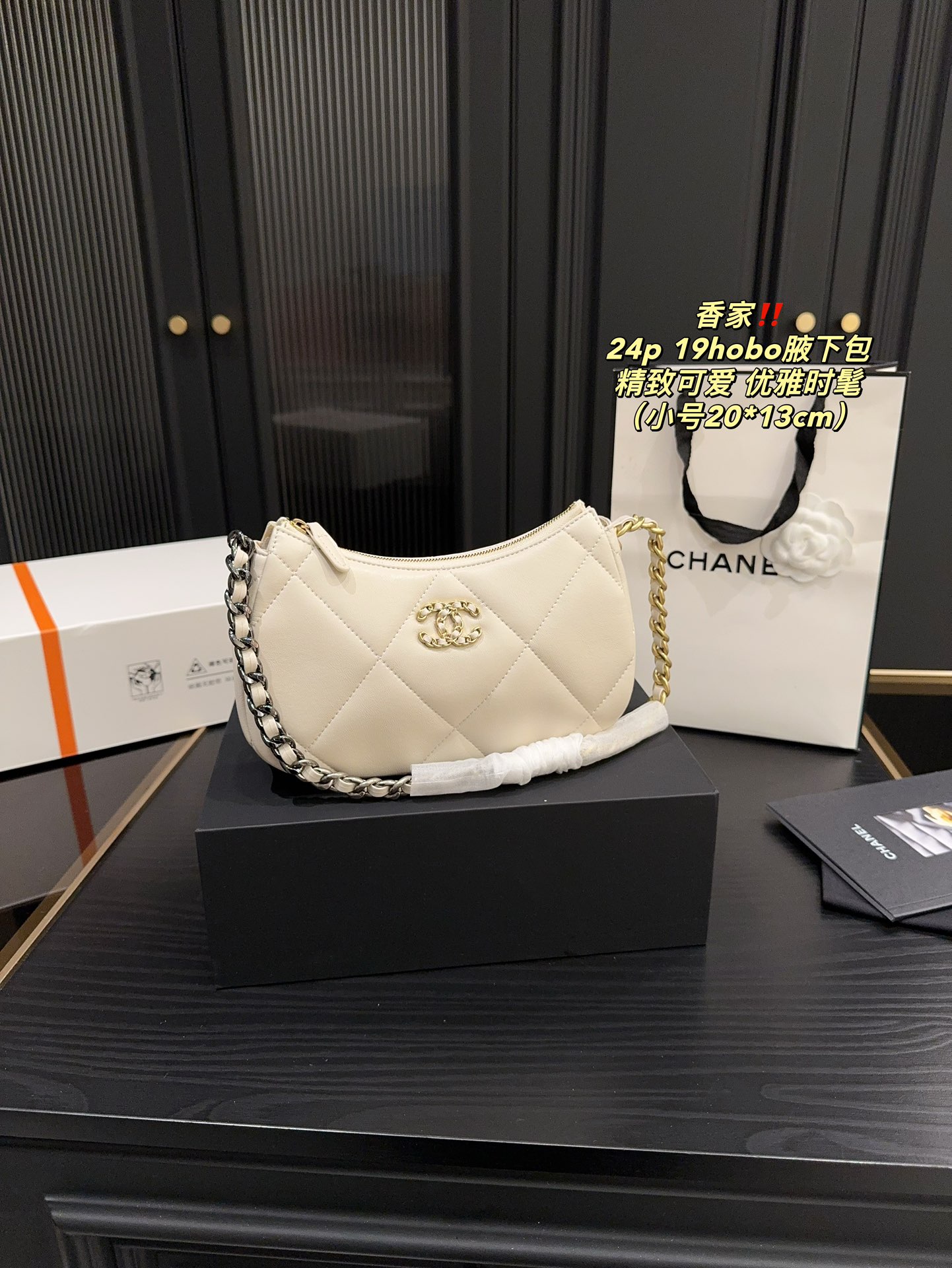 Chanel 24p 19hobo Bag 018 DB571 20-24cm