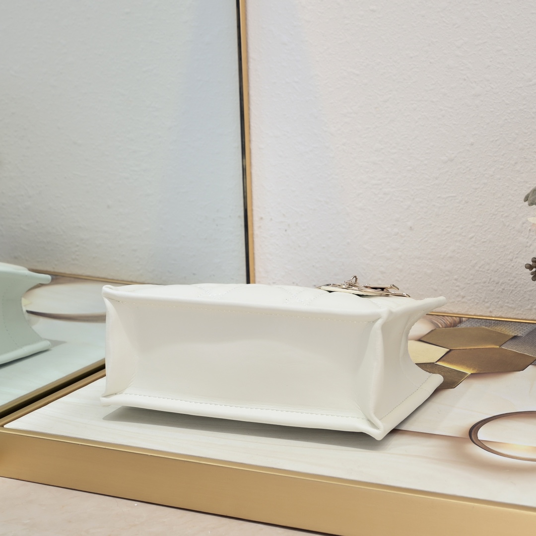 Dior Mini Book Tote Maria Grazia Chiuri design Shoulder Bag Handbag