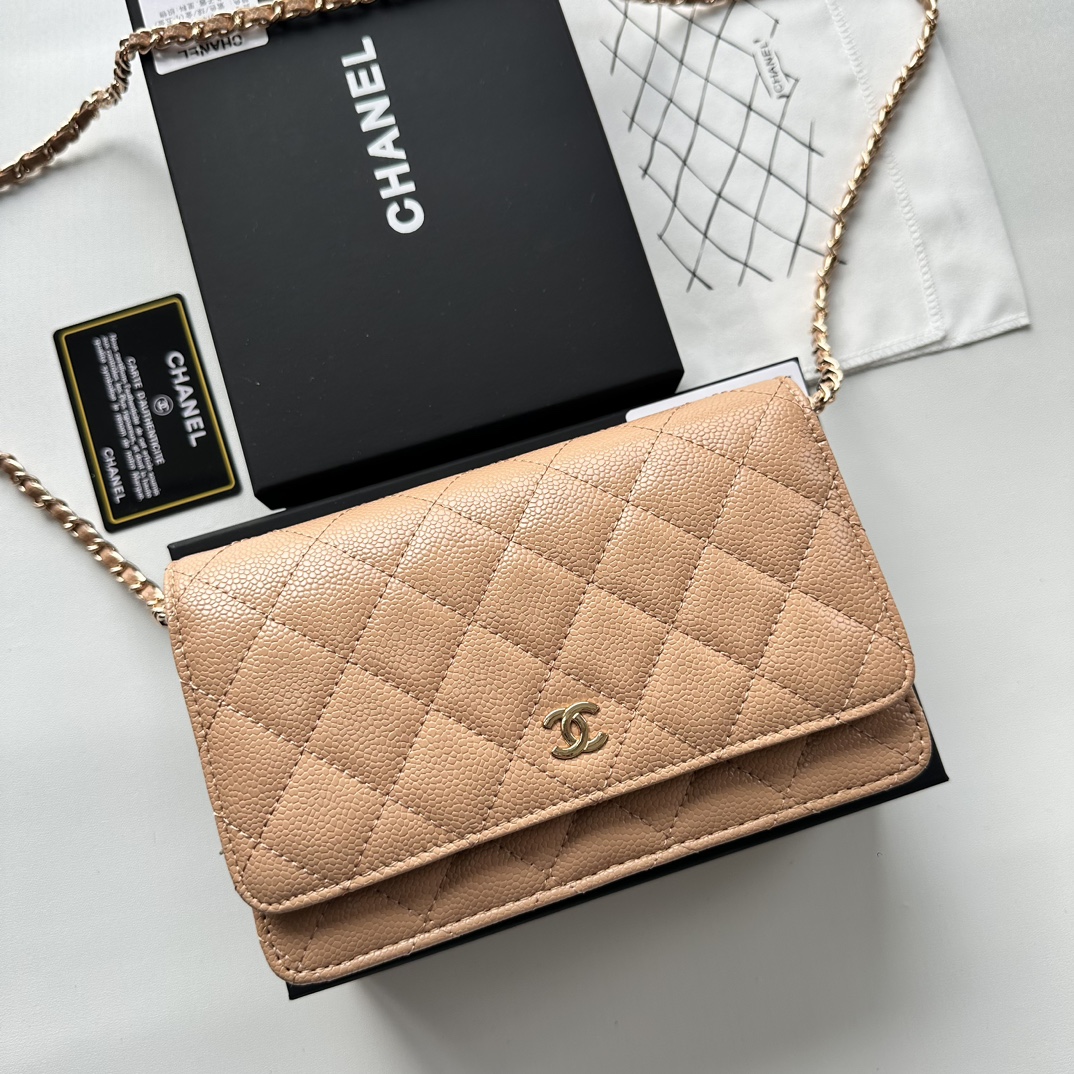 Chanel Chain Purse 33814 LM521 20cm