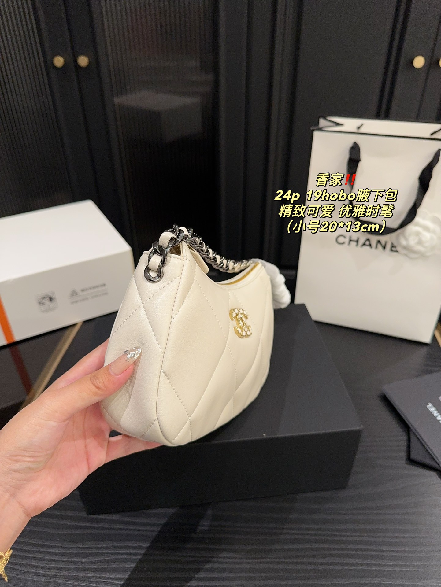 Chanel 24p 19hobo Bag 018 DB571 20-24cm