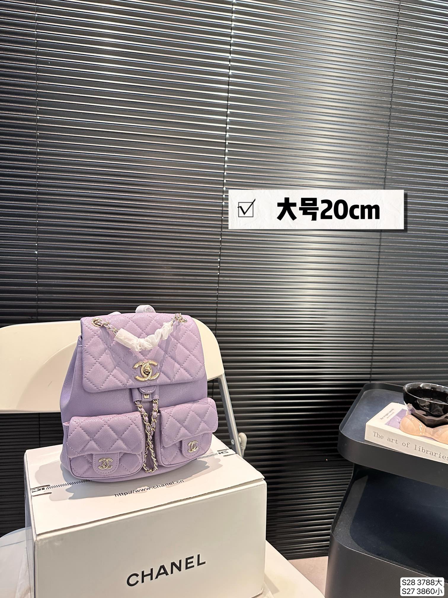 Chanel Backpack 3788 LLS002 17-20cm