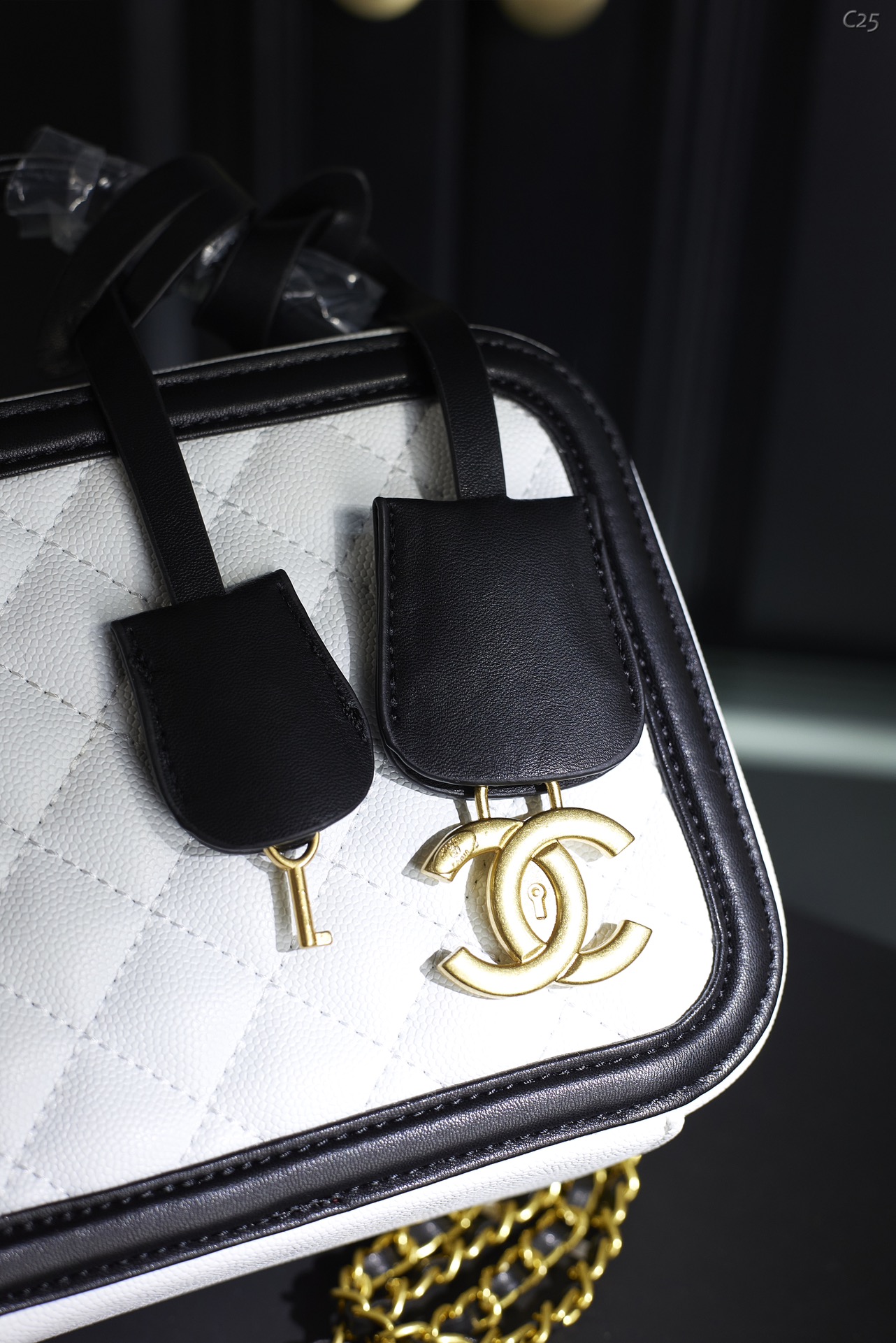 Chanel Case Bag 008 DB571 18cm