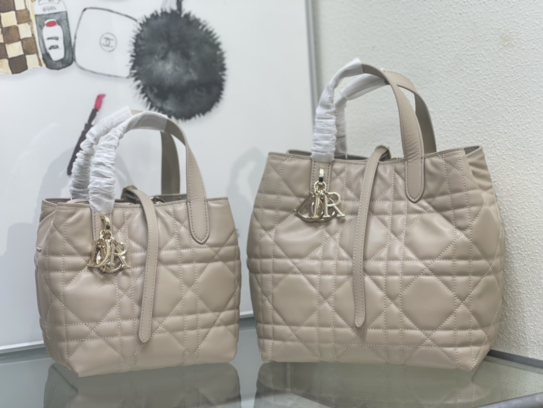 Dior Toujours Bag 0326 LM002012 18-24cm