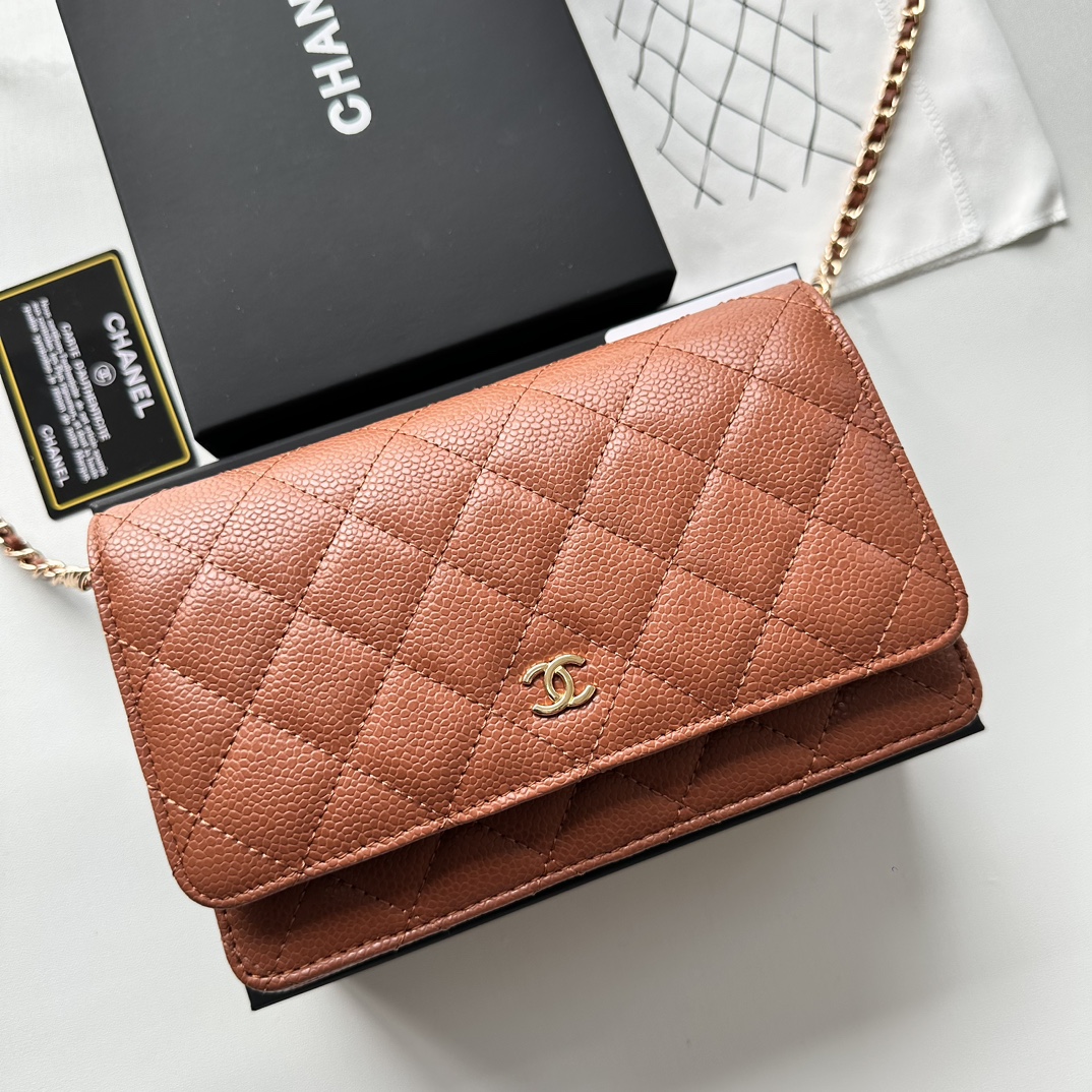 Chanel Chain Purse 33814 LM521 20cm