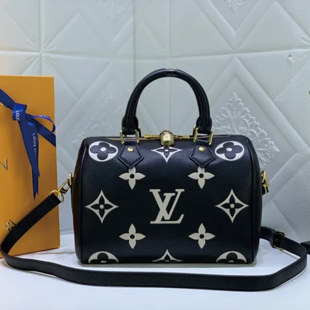LV58947CS081 25*19*15 cm