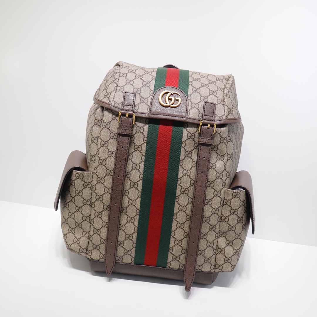 GUCCI backpack 598140