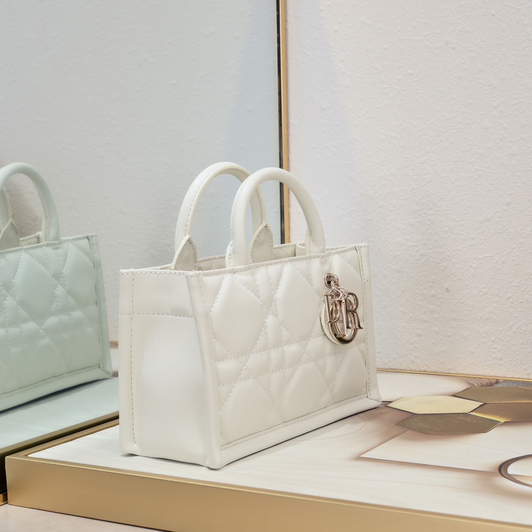 Dior Mini Book Tote Maria Grazia Chiuri design Shoulder Bag Handbag