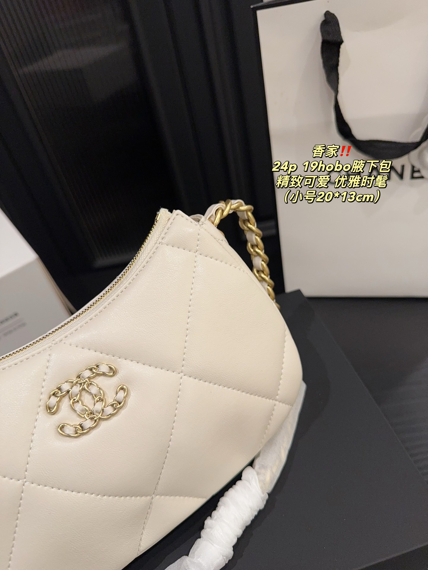 Chanel 24p 19hobo Bag 018 DB571 20-24cm