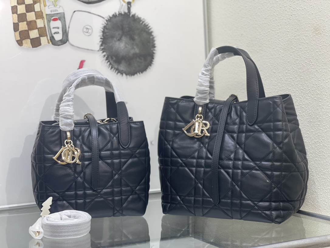 Dior Toujours Bag 0326 LM002012 18-24cm