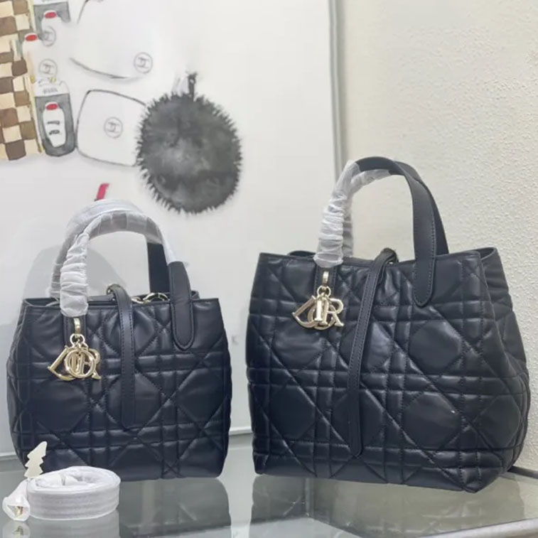 Dior Toujours Bag 0326 LM002012 18-24cm