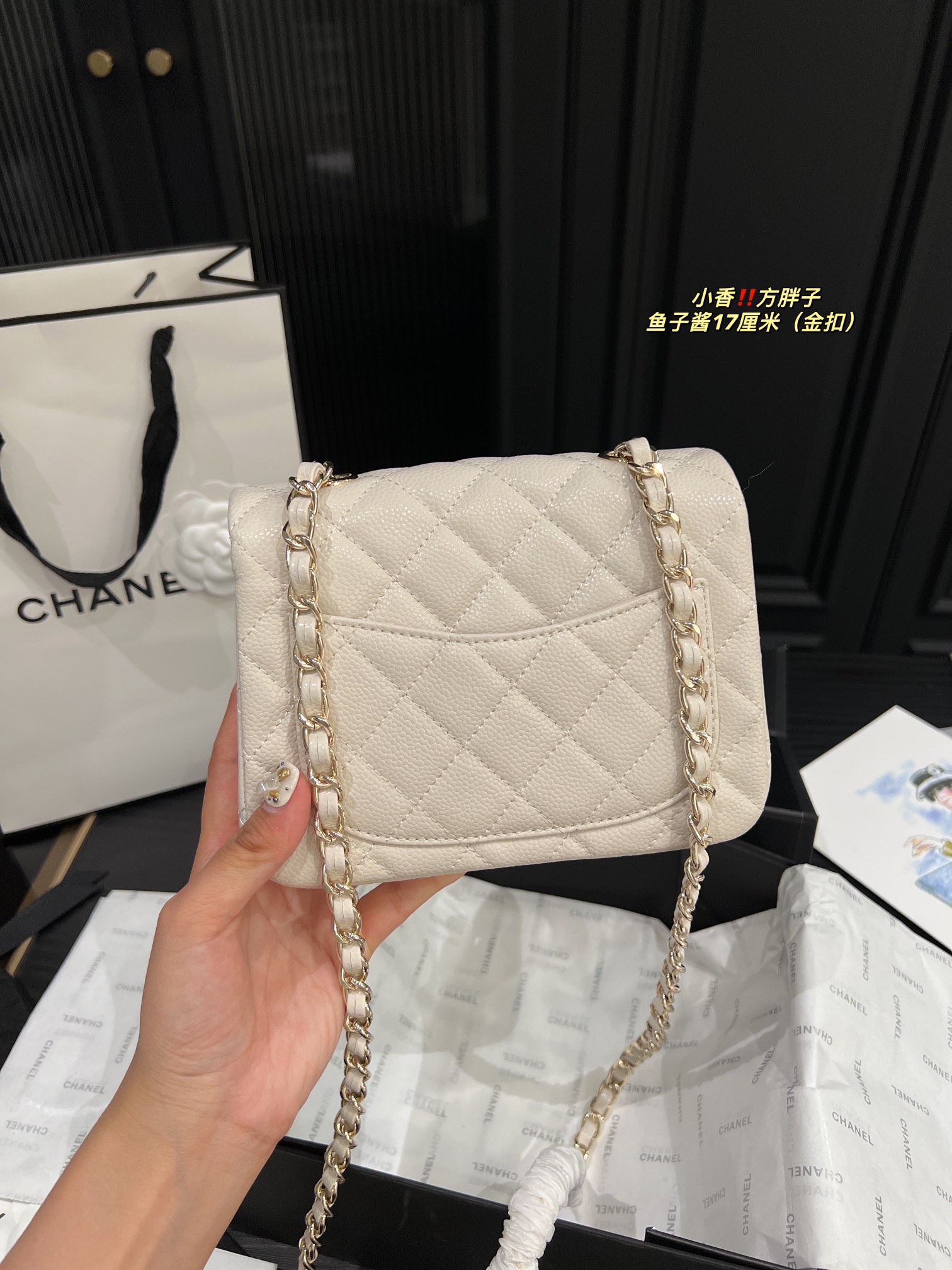 Chanel Shoulder Bag 017 DB071 17cm