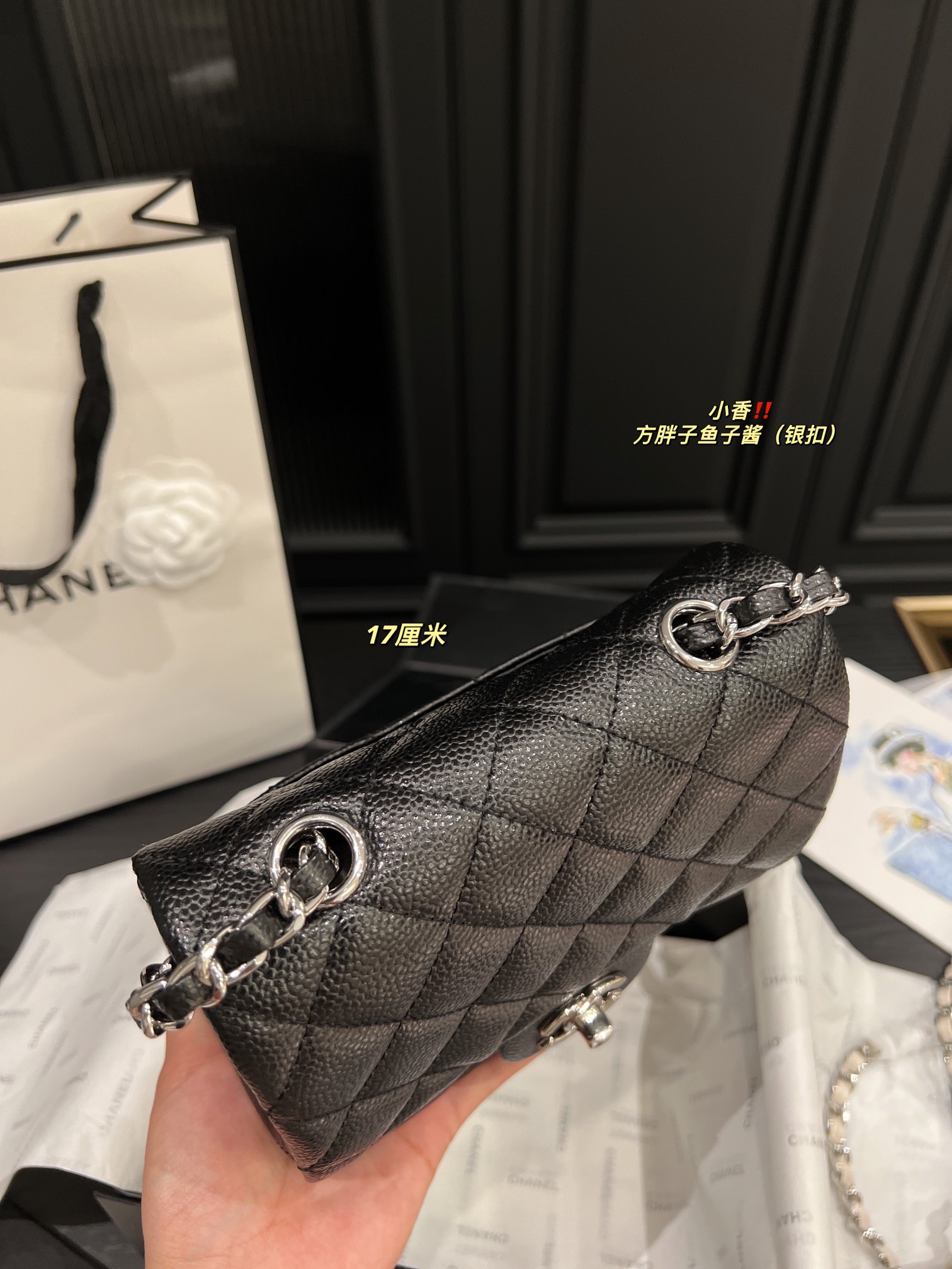 Chanel Shoulder Bag 017 DB071 17cm