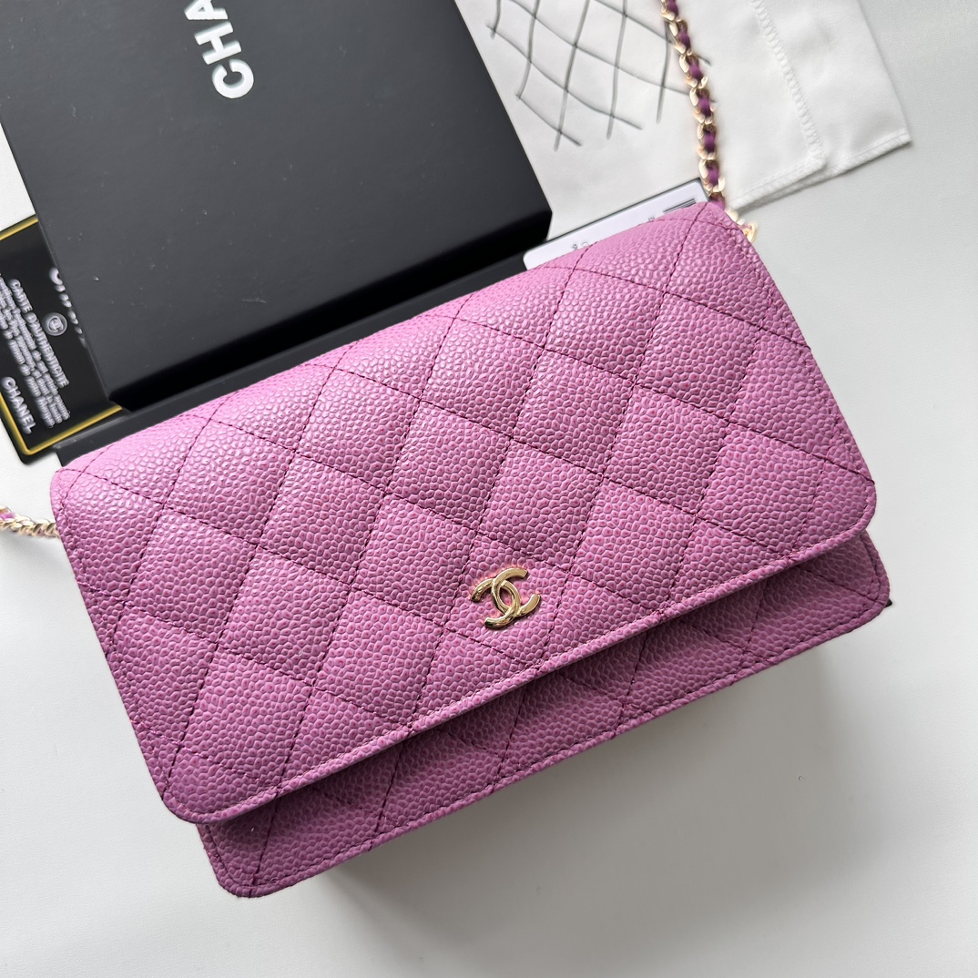 Chanel Chain Purse 33814 LM521 20cm