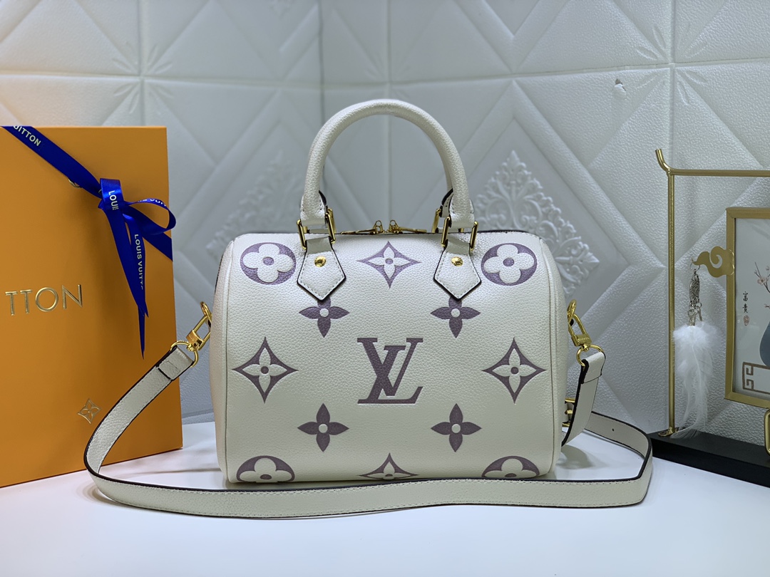 LV58947CS081 25*19*15 cm