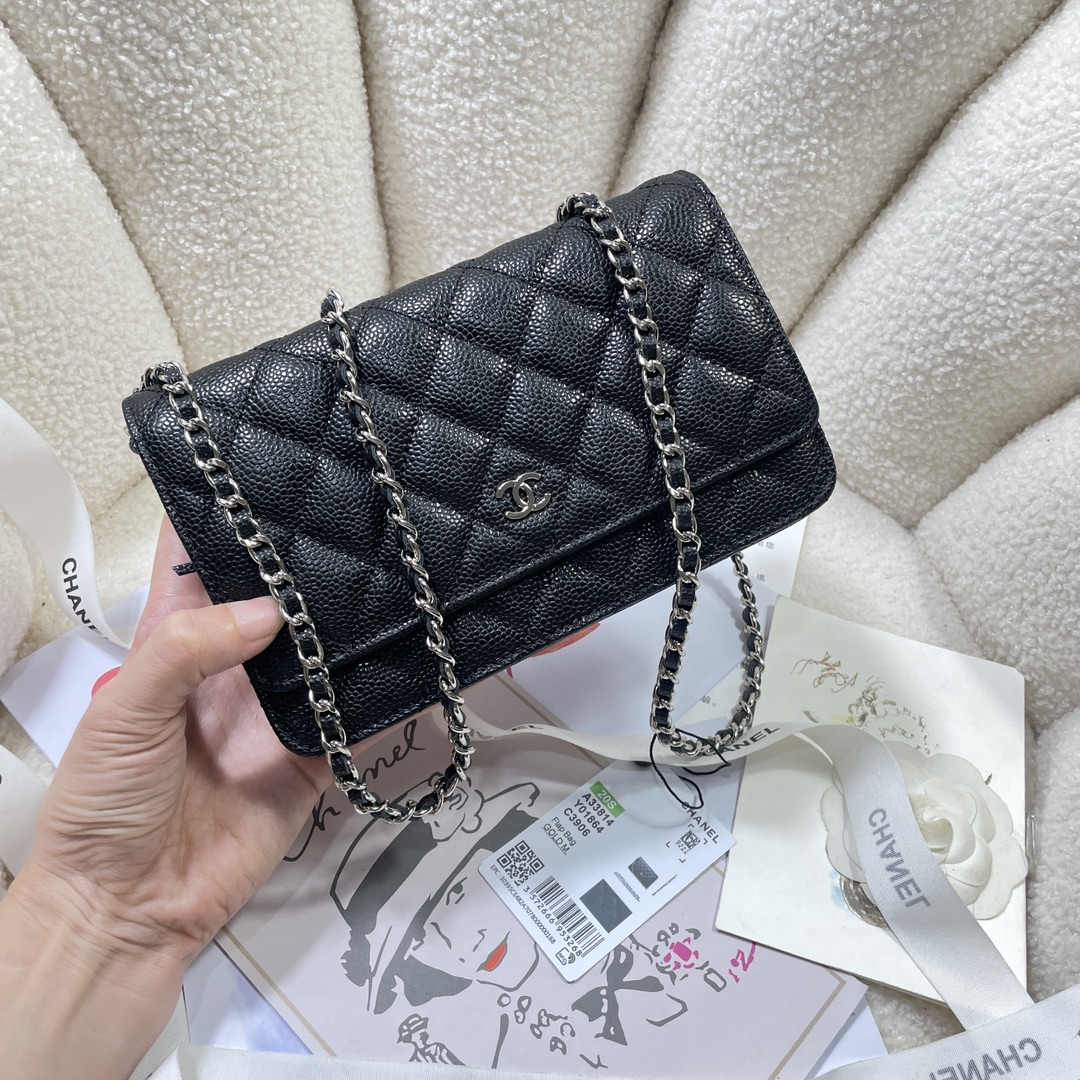 Top quality Chanel WOC 19cm 0250