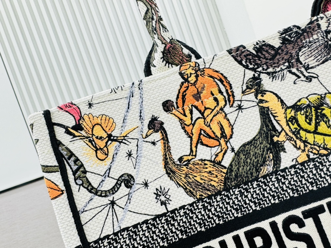 Dior Book Tote Embroider Medium Shoulder Bag Handbag