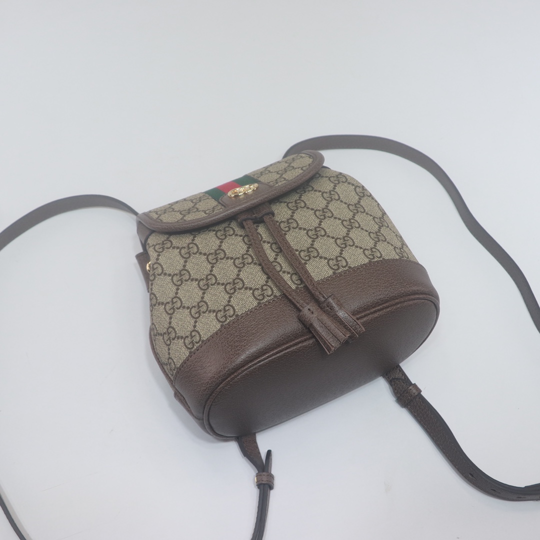 Gucci Ophidia Backpack 795221 LM031 20.5cm