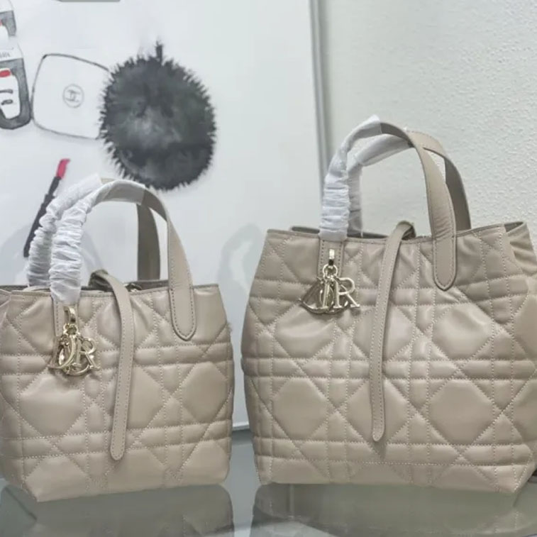 Dior Toujours Bag 0326 LM002012 18-24cm