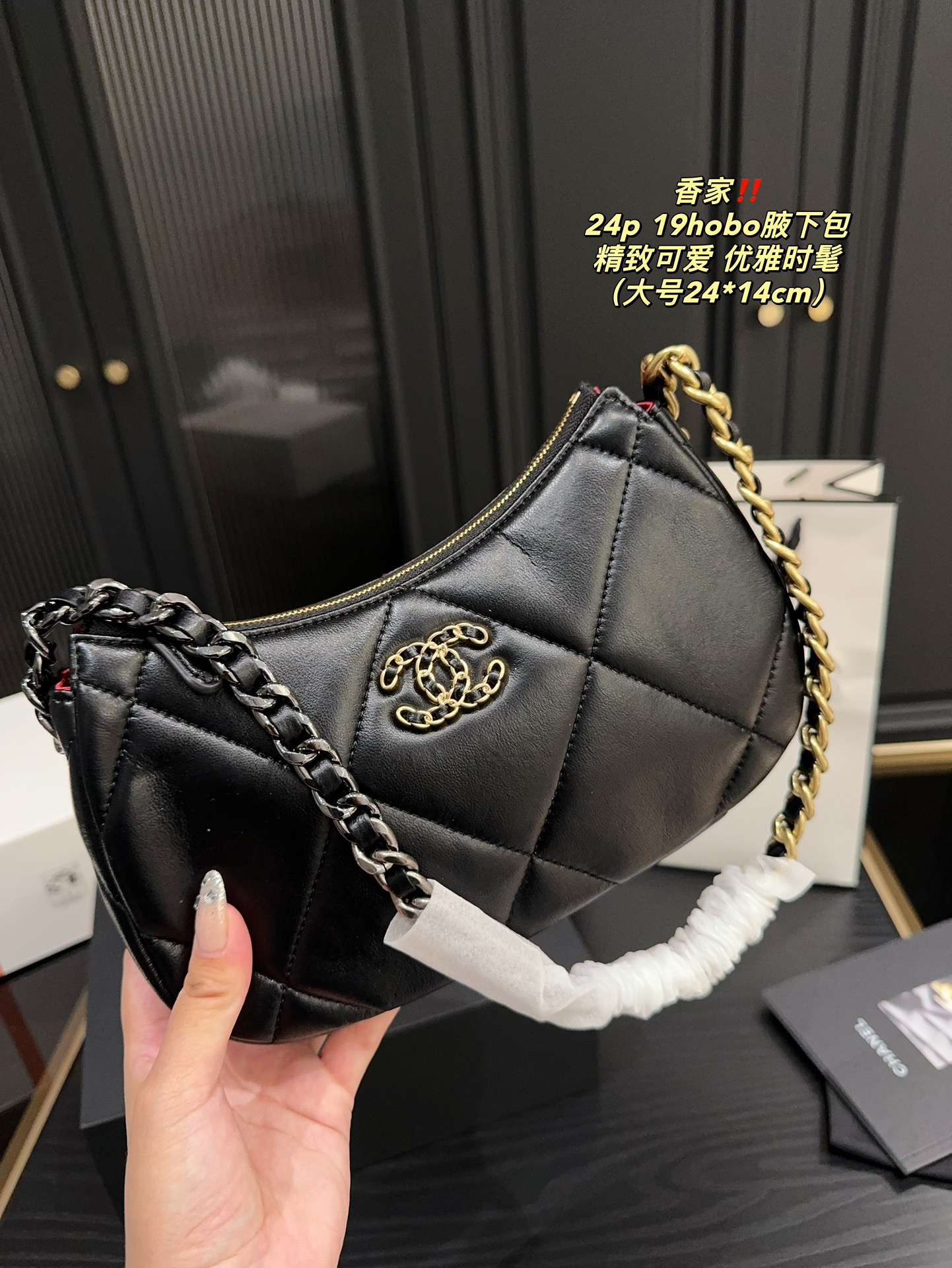 Chanel 24p 19hobo Bag 018 DB571 20-24cm
