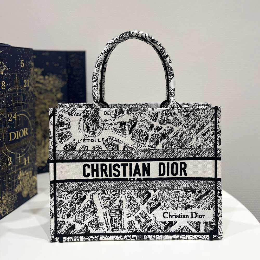 DIOR Book Tote Paris Map Bags(Replica)
