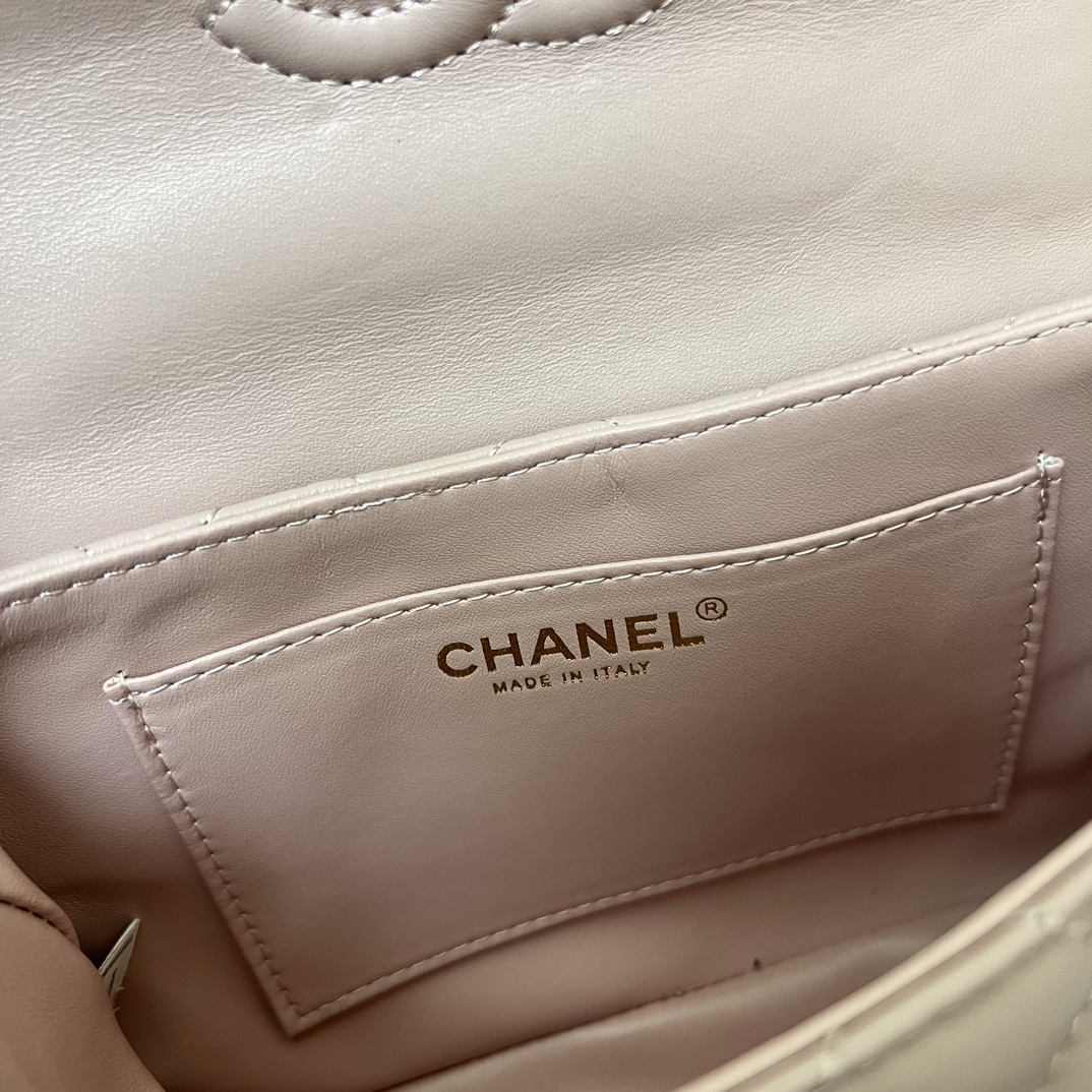 Chanel Handle bag S8891