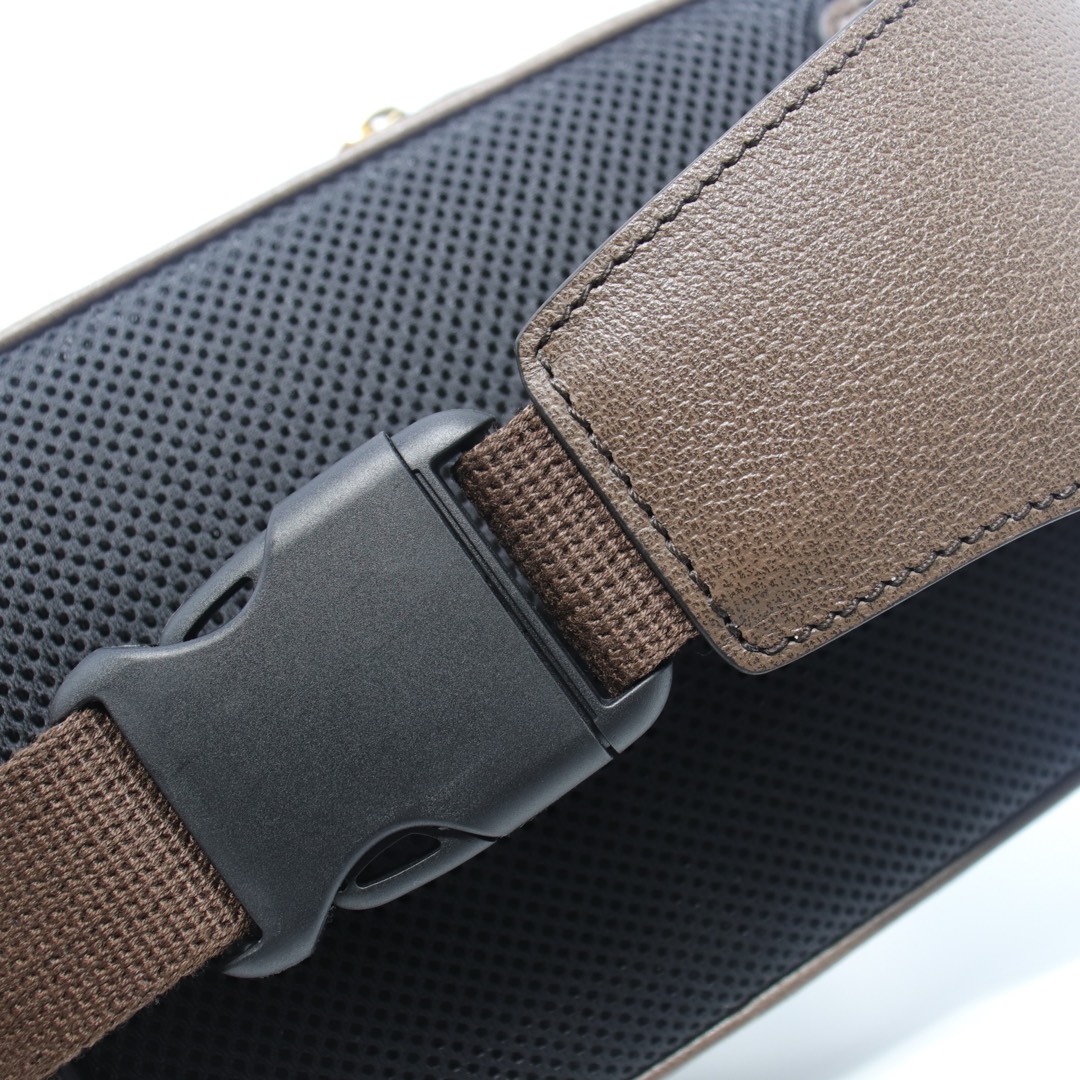 GUCCI Ophidia belt bag 574796