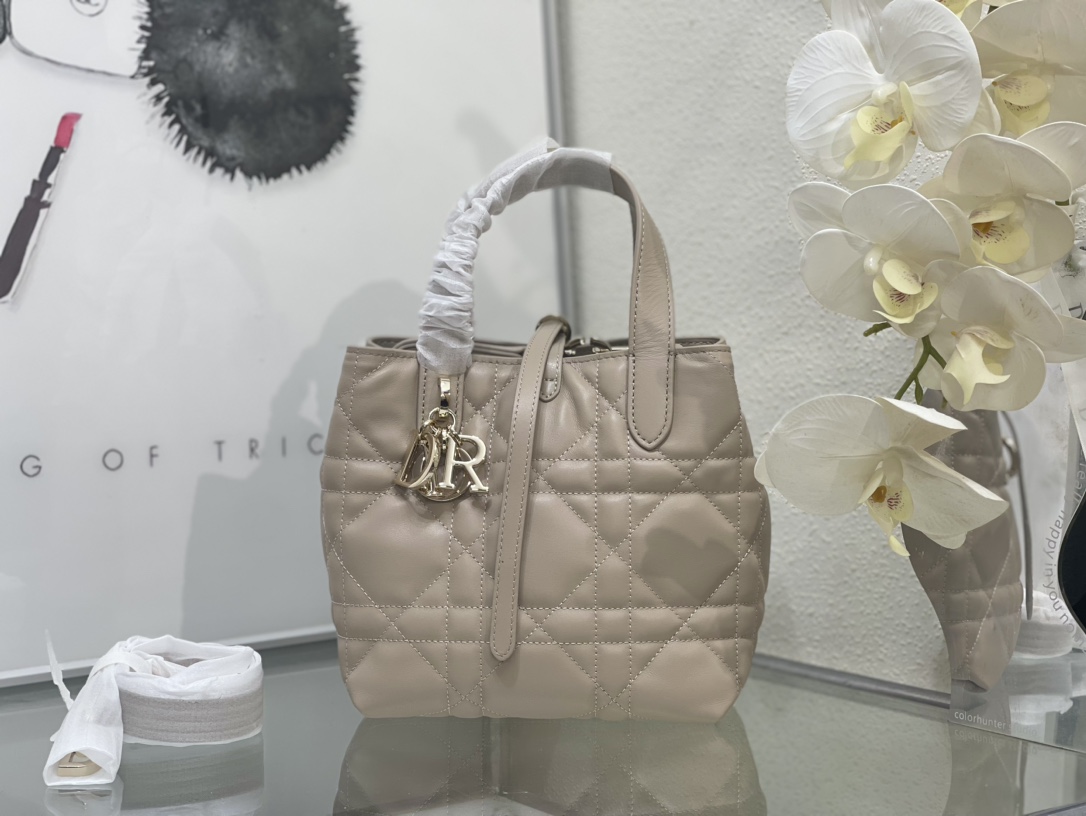 Dior Toujours Bag 0326 LM002012 18-24cm