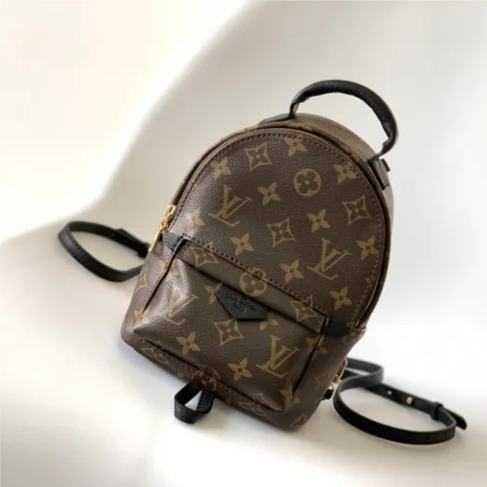 Louis Vuitton PALM SPRINGS MINI PM MM