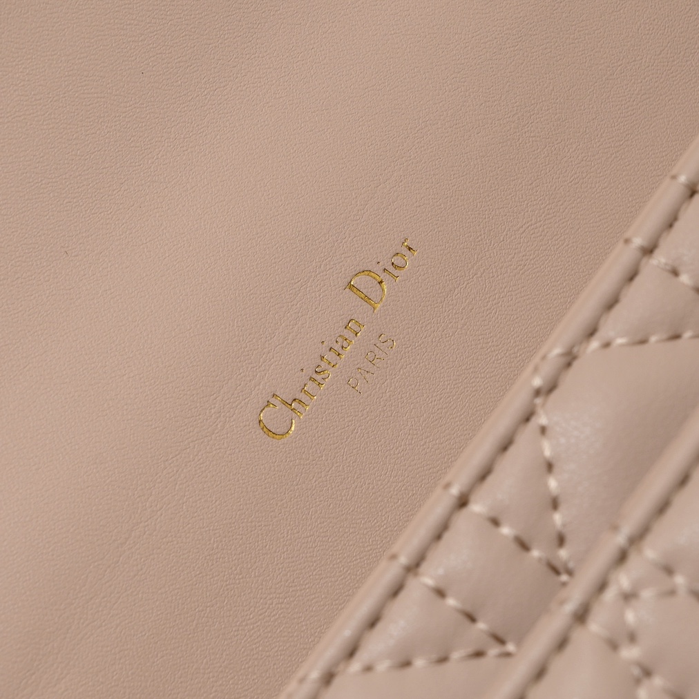 Dior Lady Dior Daily Chain Pouch Cannage lambskin Shoulder Bag Handbag