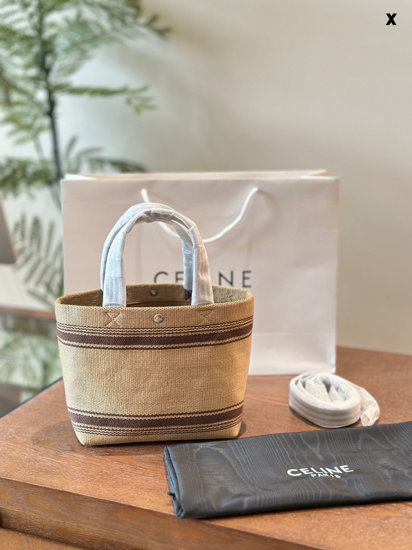 Celine Mini Tote 002 LM081 22cm