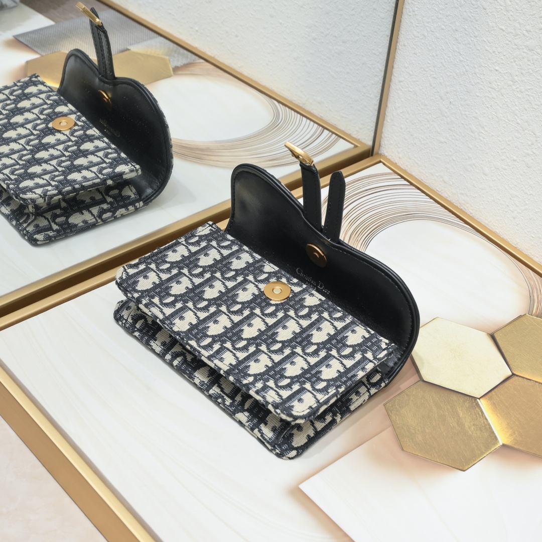 Dior Saddle Waist Bag 1099 LM041 18.5cm