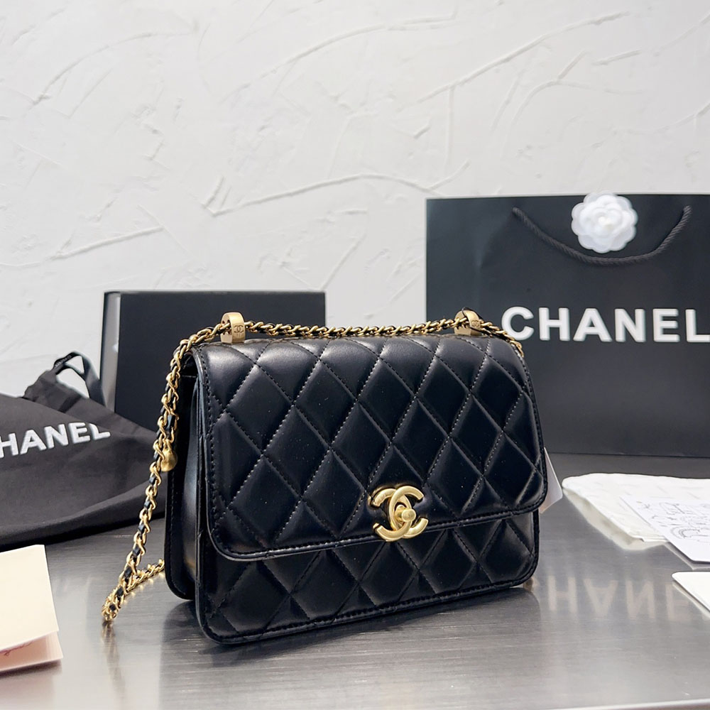 Chanel WOC Bag Double Golden Beads Shoulder Bag(Replica)