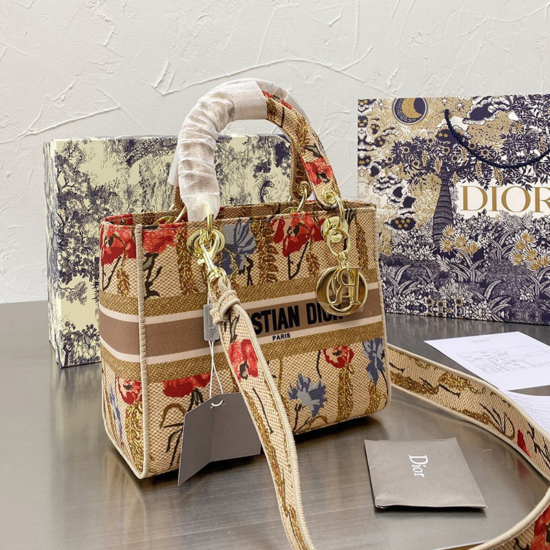 Dior The LADY D-LITE Bag