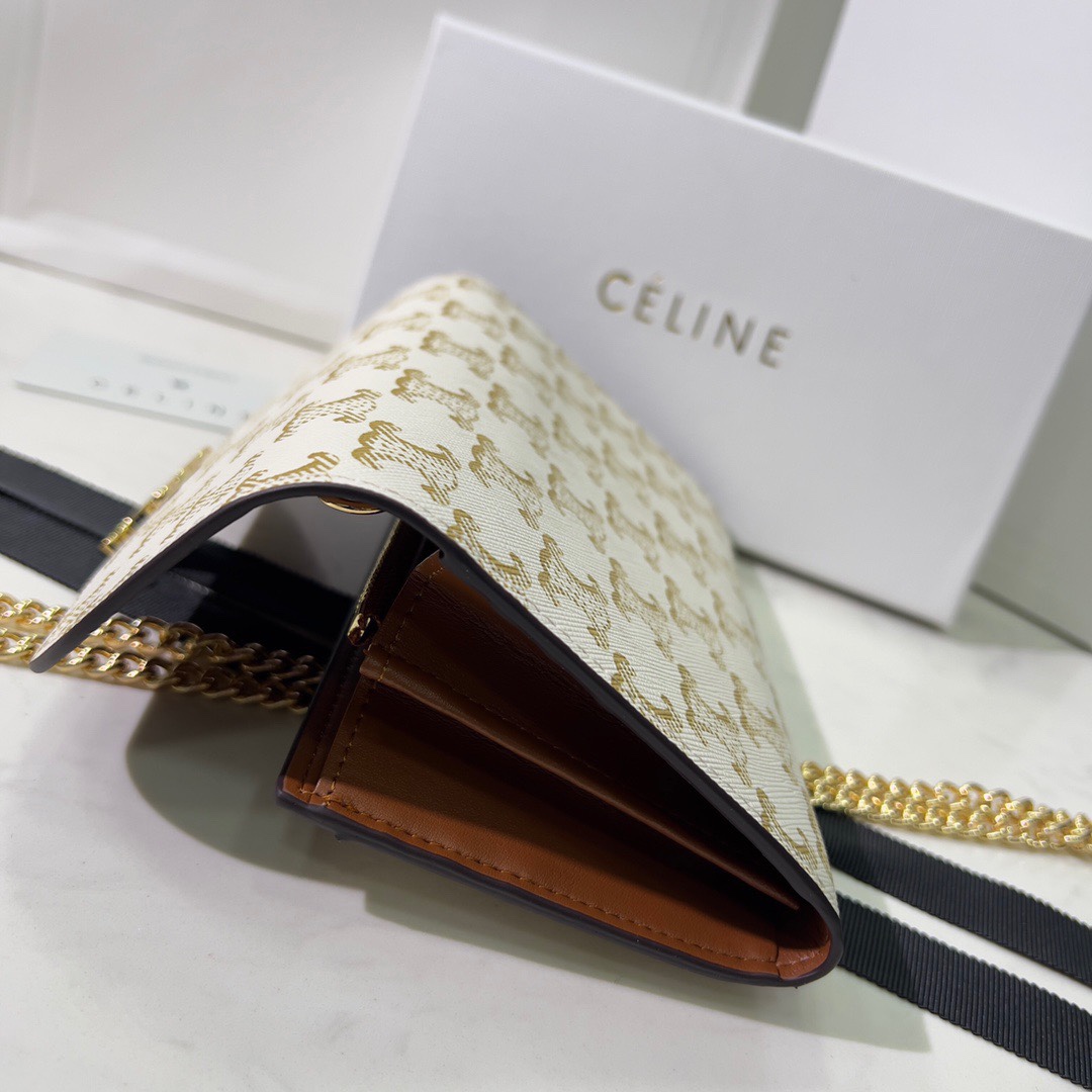 Celine CLAUDE Chain Bag 1961 LM59 19cm