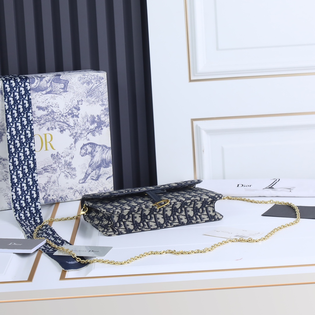Dior Saddle Chain Bag 1010 LM031 22cm