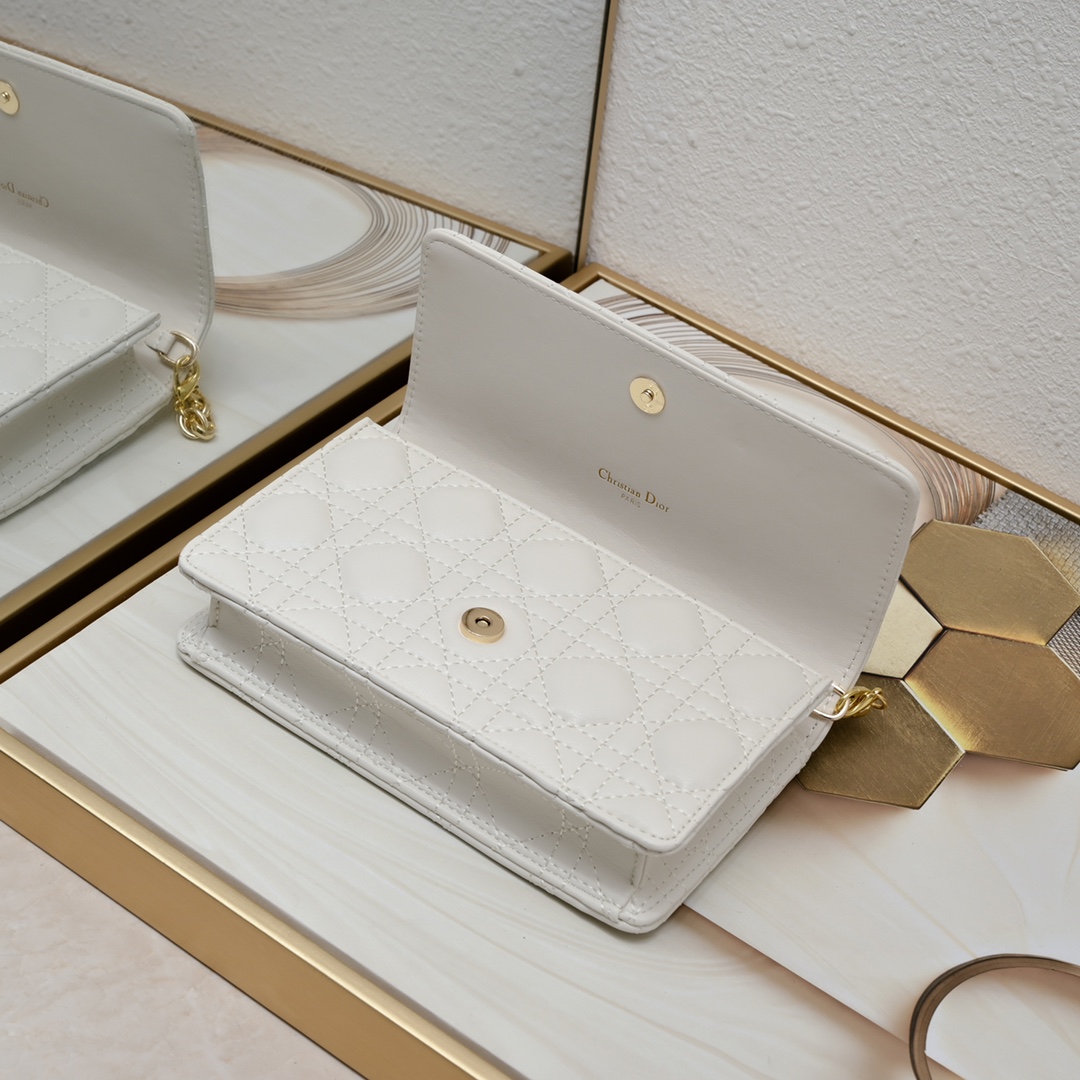 Dior Caro Pouch 5134 XB061 20cm