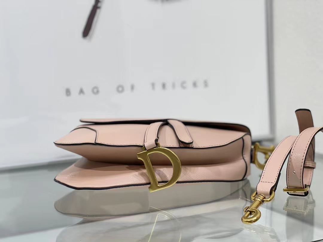 Dior Saddle Bag Nude 6677 XB012 25.5cm