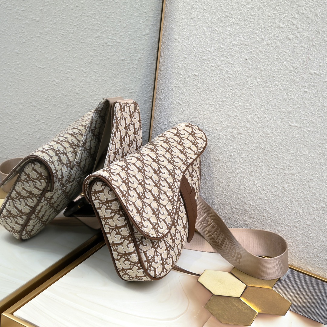 Dior Homme Pre-Fall Saddle Ophidia Shoulder Bag Handbag