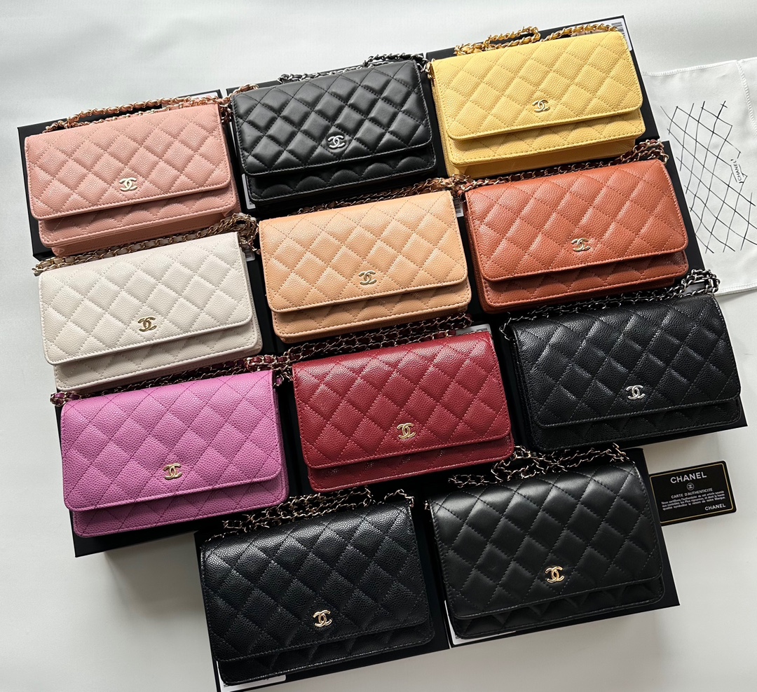 Chanel Chain Purse 33814 LM521 20cm