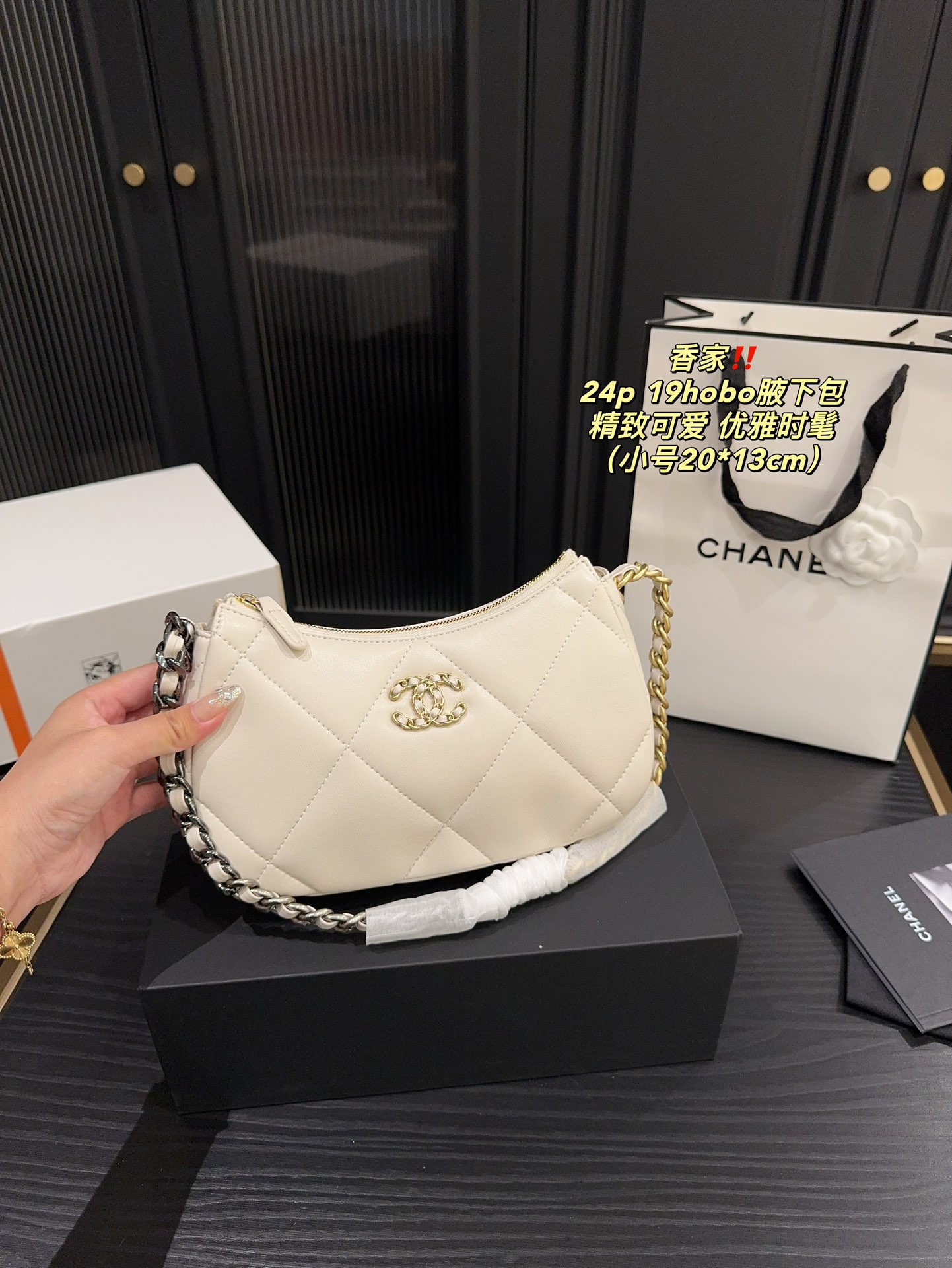 Chanel 24p 19hobo Bag 018 DB571 20-24cm