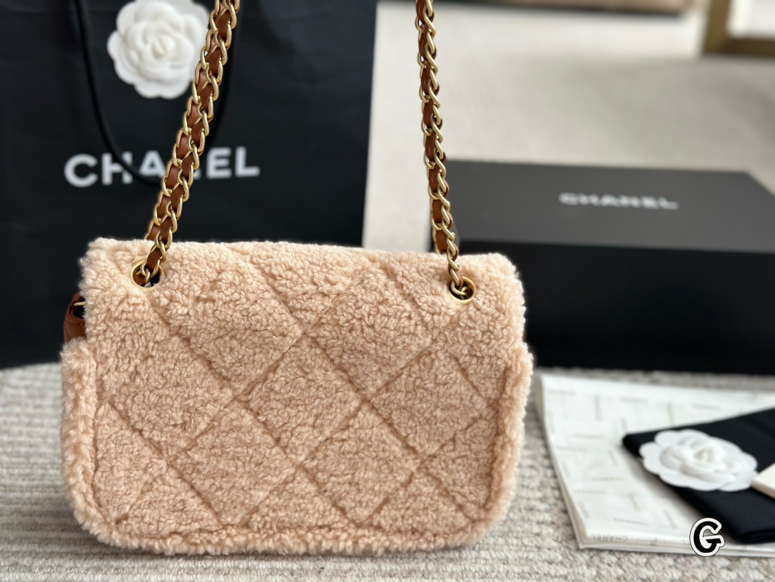 Chanel Classic Flap Bag 025 DB081 25cm