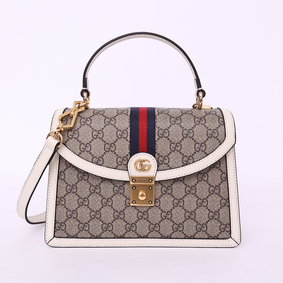 GUCCI 651055 25x17.5x7 cm