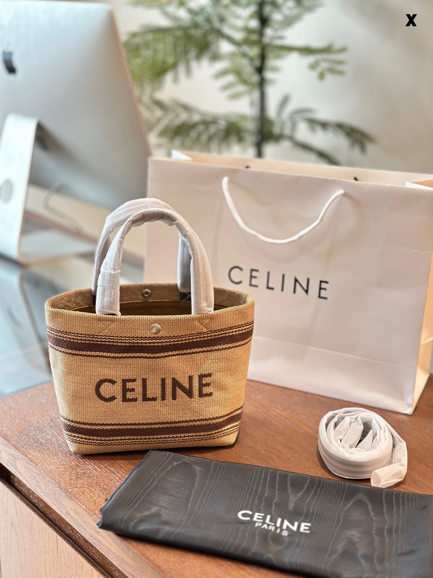 Celine Mini Tote 002 LM081 22cm
