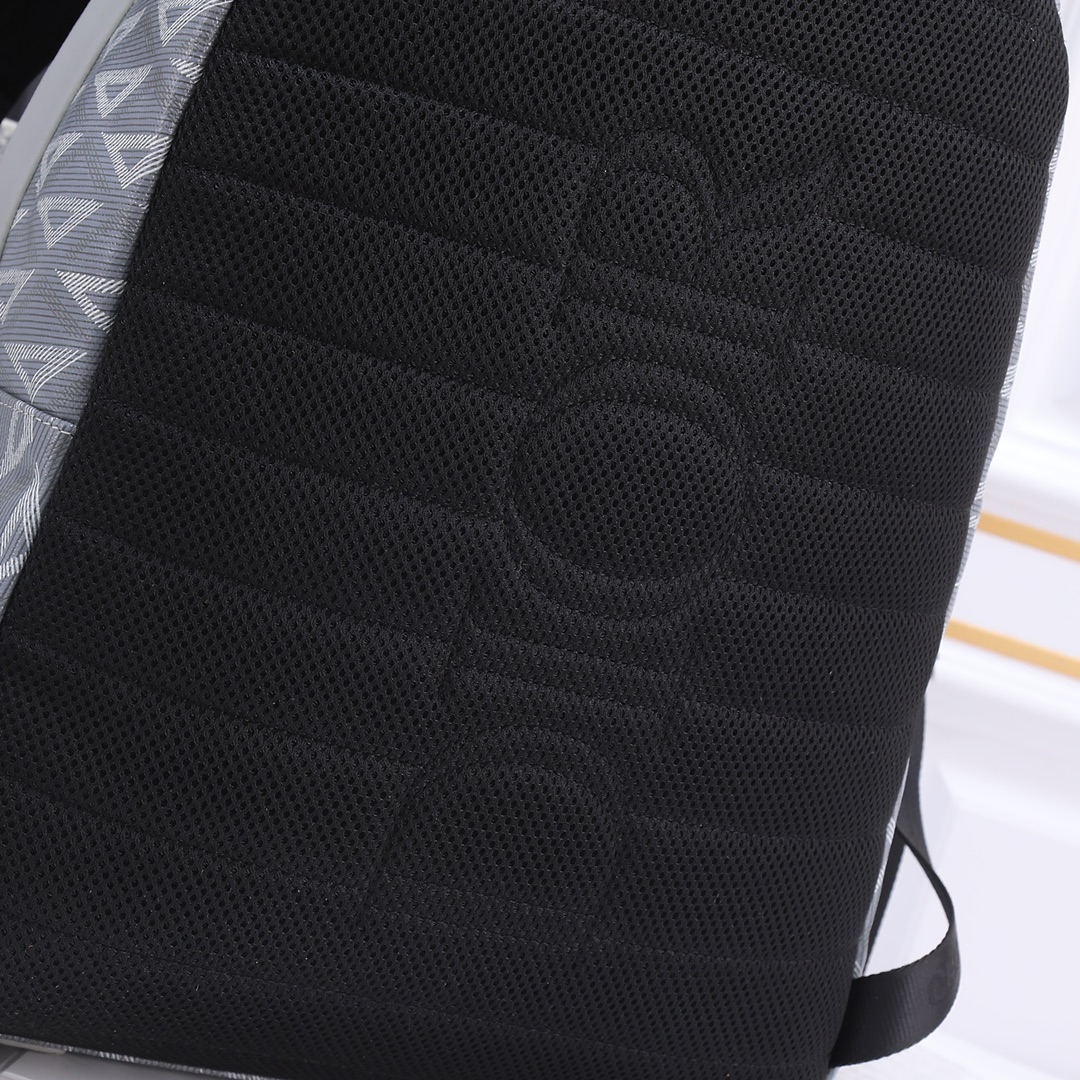 Large Rider Backpack Gray canvas 6601 LM032 30cm