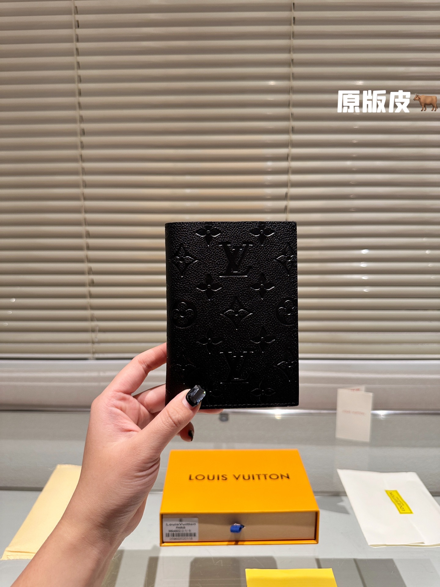 LV Passport holder 008 DB511 10cm