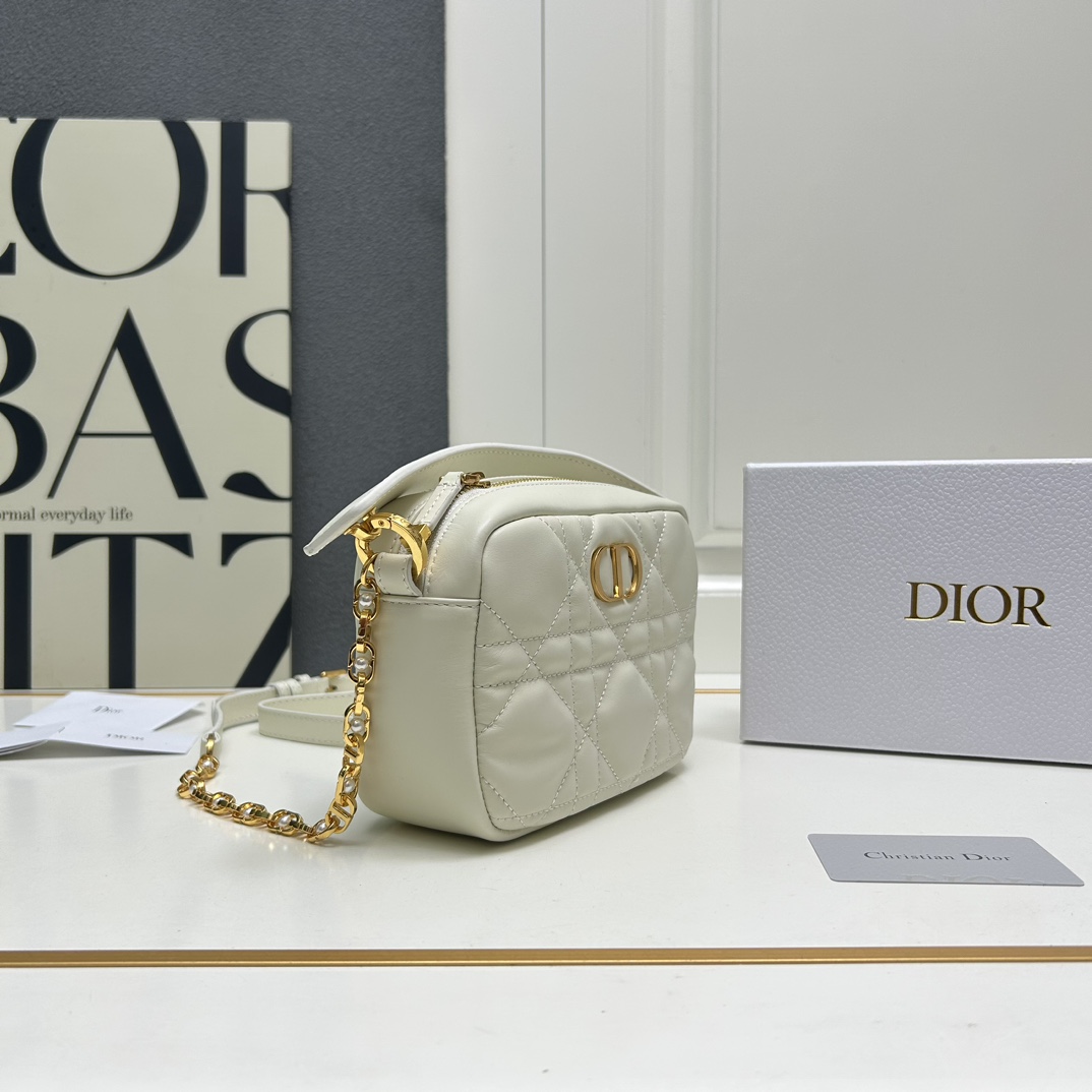 Dior Caro Camera Bags Shoulder Bag Handbag