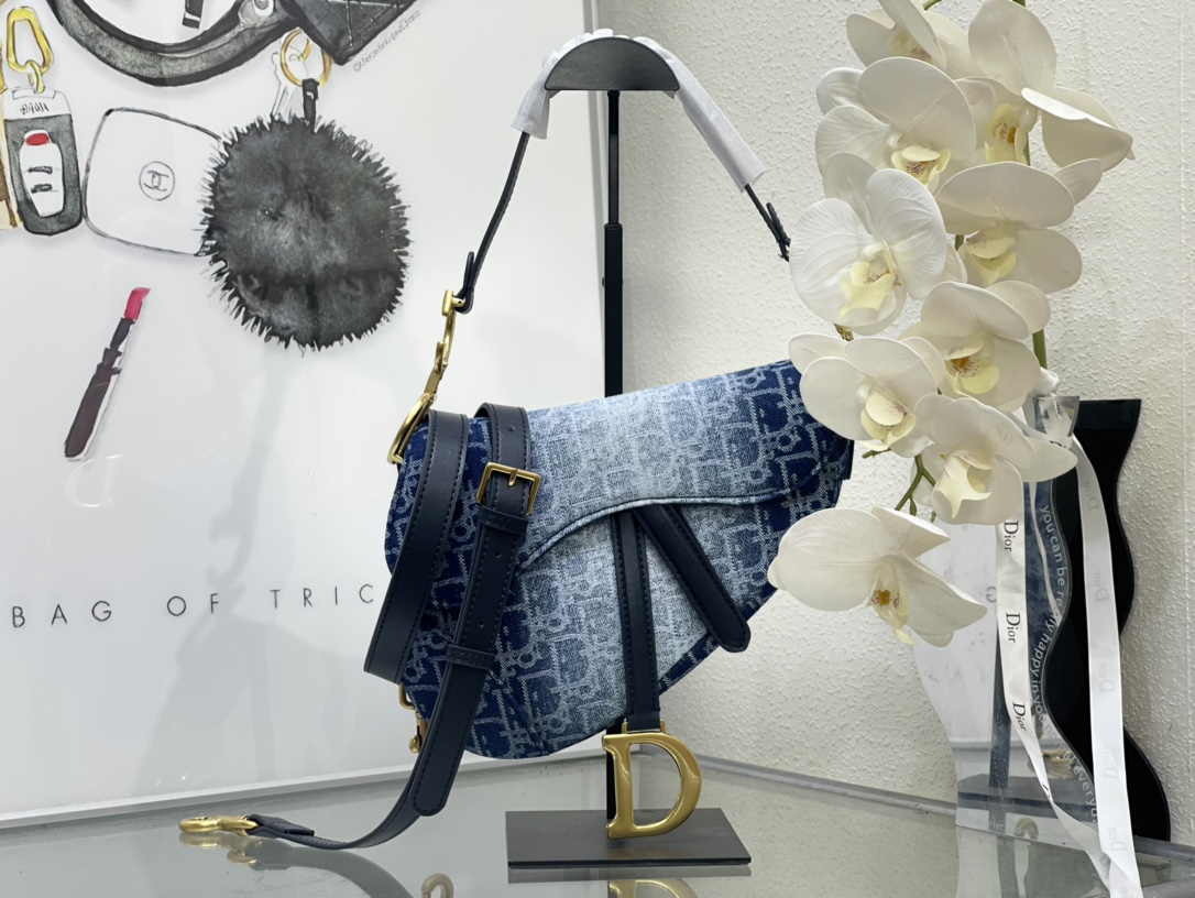 Dior Saddle Bag 5528 LM002 25.5cm