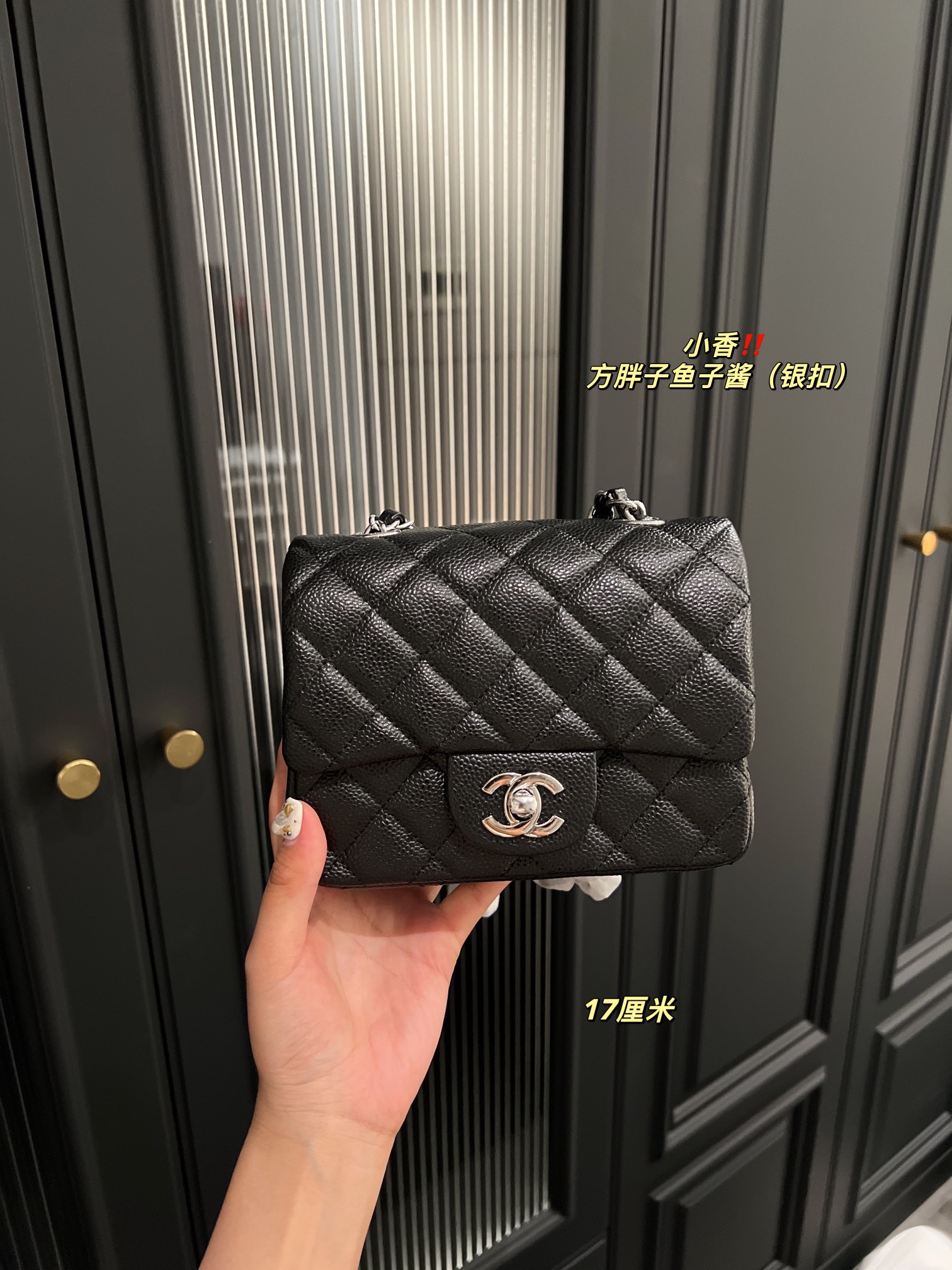 Chanel Shoulder Bag 017 DB071 17cm
