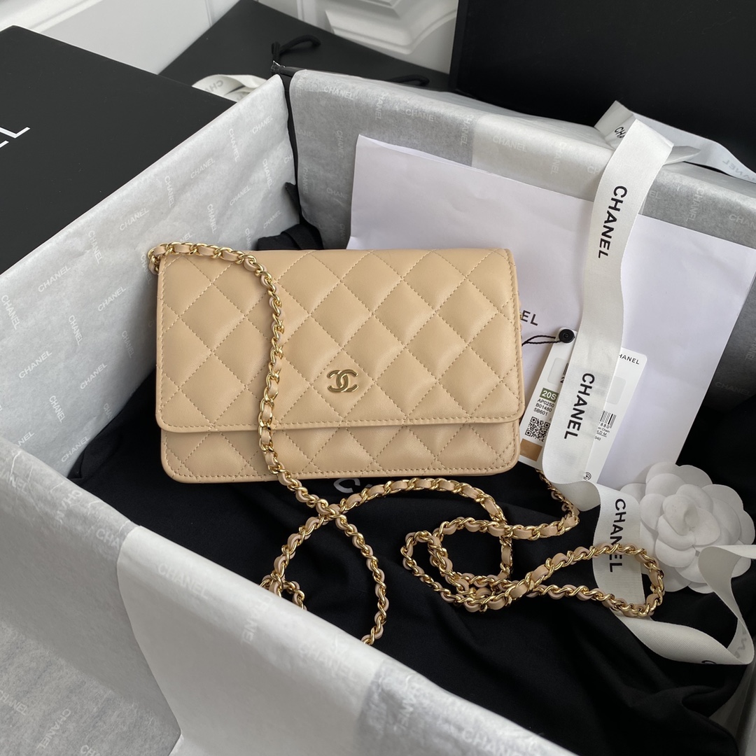 Top quality Chanel WOC 19cm 0250